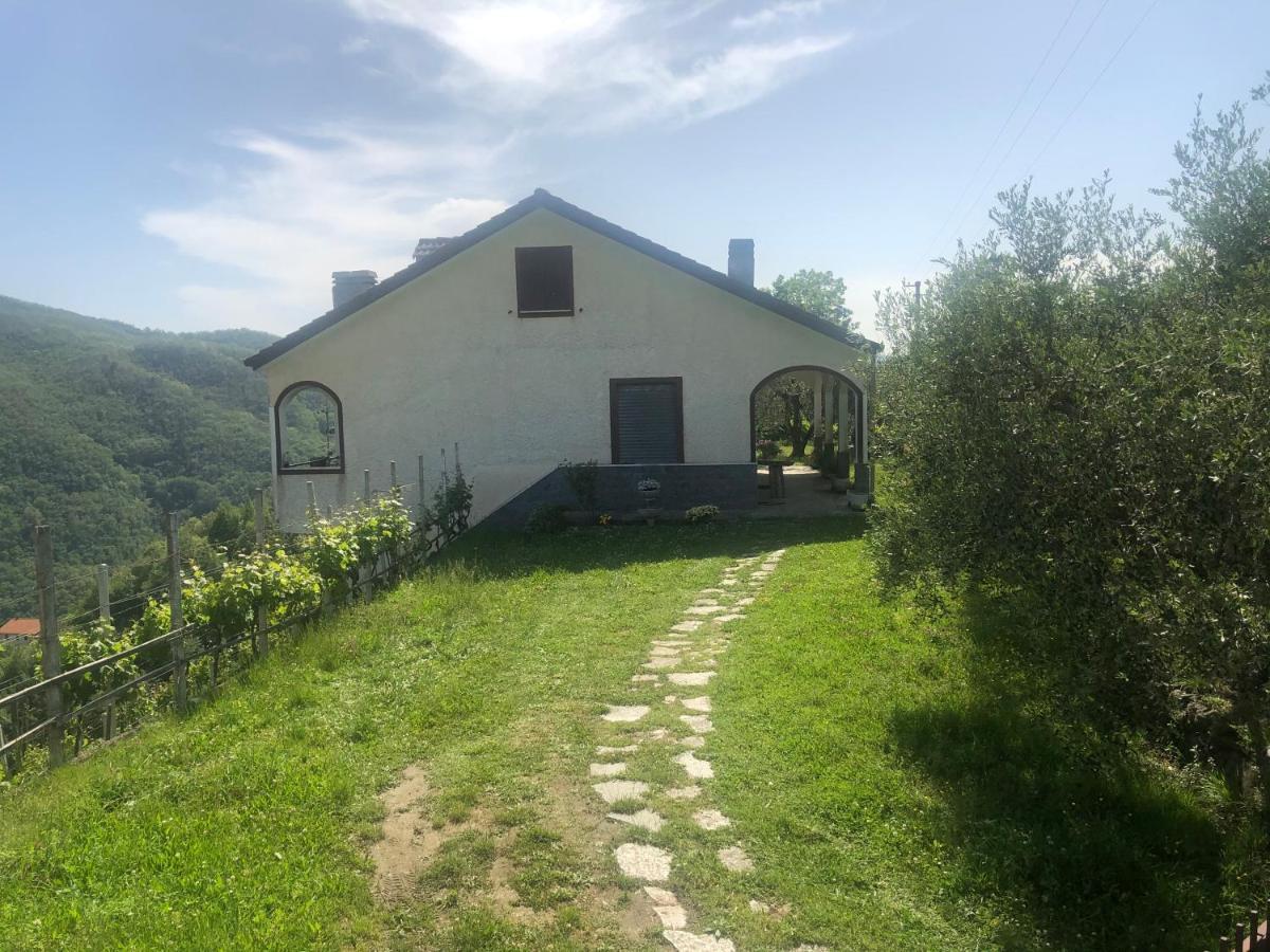 Villa Elena Mezzanego Exterior photo